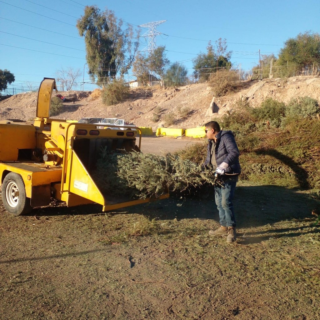 ¡ÚLTIMOS DÍAS! RECICLA TU PINO NAVIDEÑO Y AYUDA AL MEDIO&nbsp;AMBIENTE!