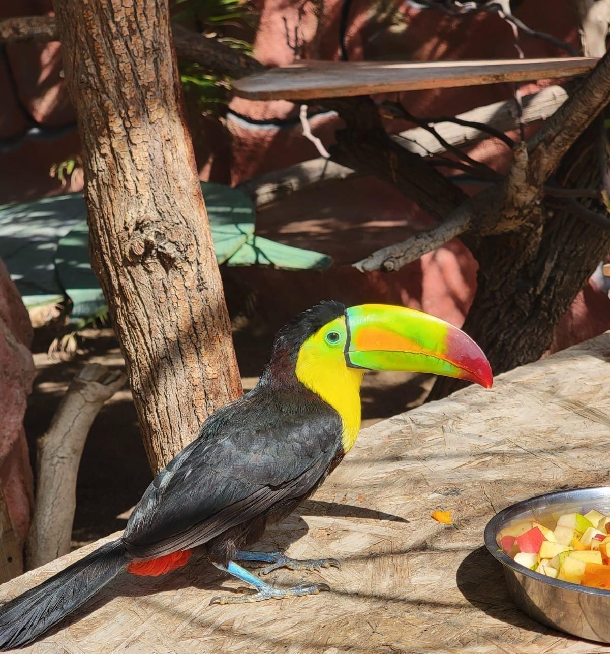 ¡VEN A CONOCER A TUKY EN BOSQUE DE LA CIUDAD!