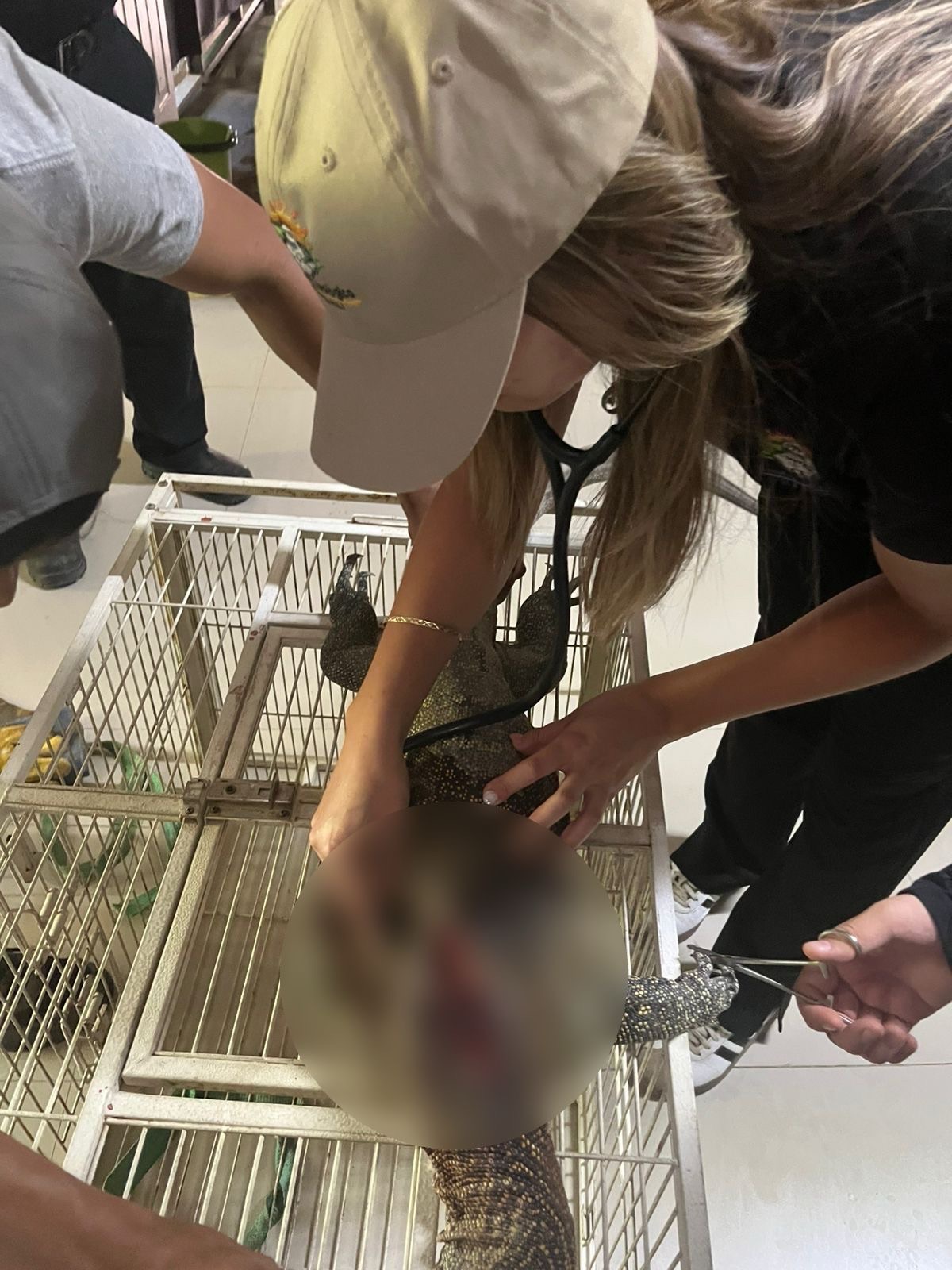 RECIBE BOSQUE Y ZOOLÓGICO DE LA CIUDAD VARANO