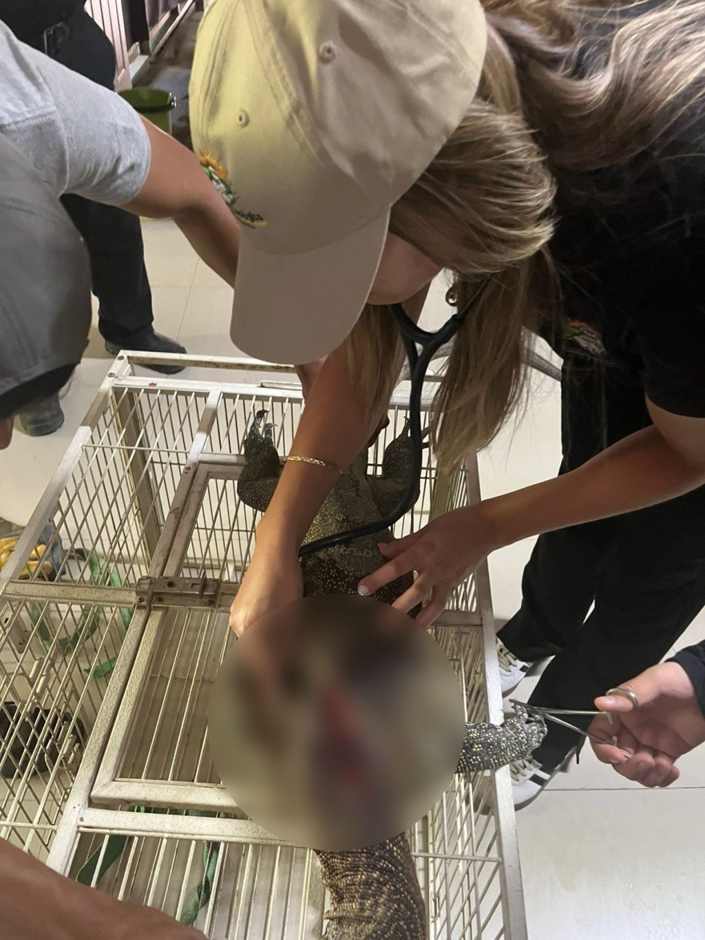 RECIBE BOSQUE Y ZOOLÓGICO DE LA CIUDAD&nbsp;VARANO