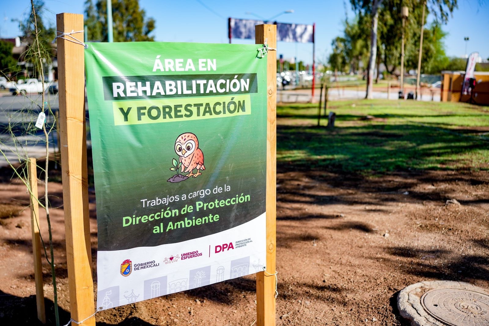 IMPULSA NORMA BUSTAMANTE PROGRAMA DE ARBORIZACIÓN EN EL CENTRO CÍVICO